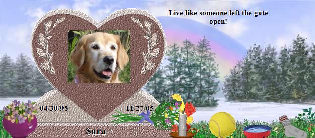 Sara's Rainbow Bridge Pet Loss Memorial Residency Image
