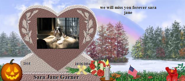 Sara Jane Garner's Rainbow Bridge Pet Loss Memorial Residency Image