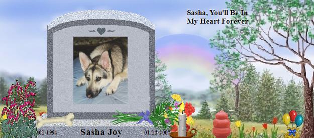 Sasha Joy's Rainbow Bridge Pet Loss Memorial Residency Image