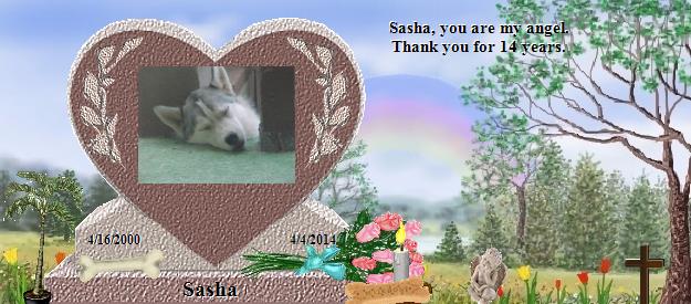 Sasha's Rainbow Bridge Pet Loss Memorial Residency Image