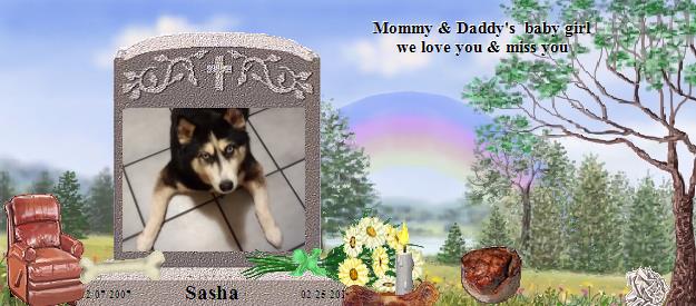 Sasha's Rainbow Bridge Pet Loss Memorial Residency Image