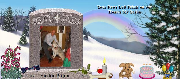 Sasha Puma's Rainbow Bridge Pet Loss Memorial Residency Image
