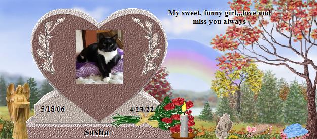 Sasha's Rainbow Bridge Pet Loss Memorial Residency Image