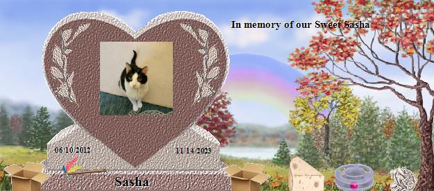 Sasha's Rainbow Bridge Pet Loss Memorial Residency Image