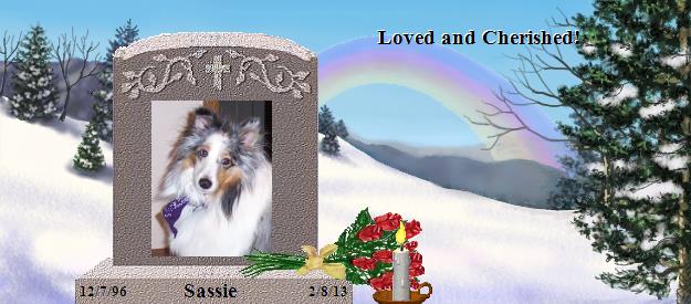 Sassie's Rainbow Bridge Pet Loss Memorial Residency Image