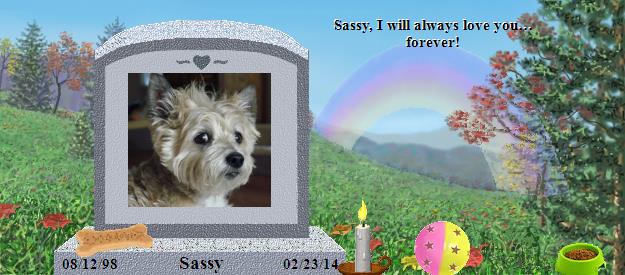 Sassy's Rainbow Bridge Pet Loss Memorial Residency Image