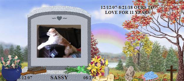 SASSY's Rainbow Bridge Pet Loss Memorial Residency Image