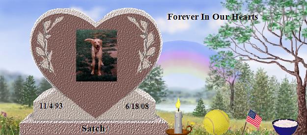 Satch's Rainbow Bridge Pet Loss Memorial Residency Image