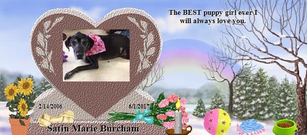 Satin Marie Burcham's Rainbow Bridge Pet Loss Memorial Residency Image