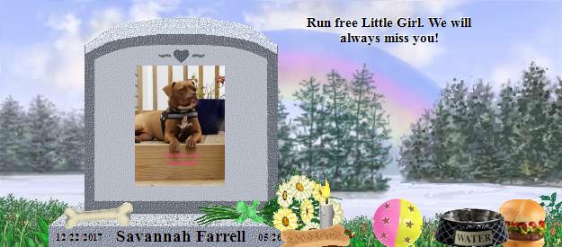 Savannah Farrell's Rainbow Bridge Pet Loss Memorial Residency Image
