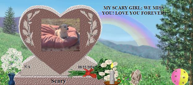 Scary's Rainbow Bridge Pet Loss Memorial Residency Image