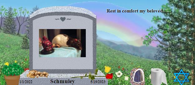 Schmuley's Rainbow Bridge Pet Loss Memorial Residency Image