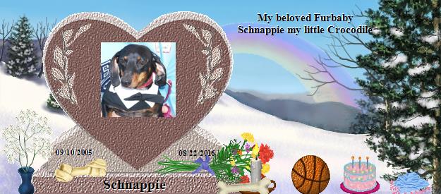 Schnappie's Rainbow Bridge Pet Loss Memorial Residency Image
