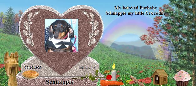 Schnappie's Rainbow Bridge Pet Loss Memorial Residency Image
