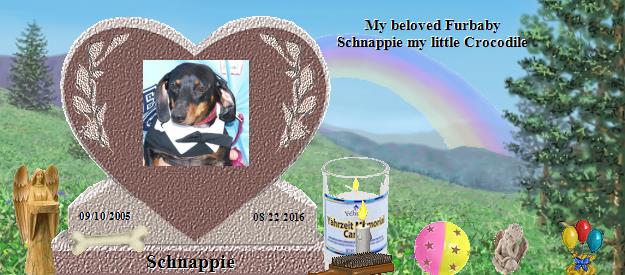 Schnappie's Rainbow Bridge Pet Loss Memorial Residency Image