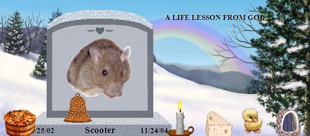 Scooter's Rainbow Bridge Pet Loss Memorial Residency Image