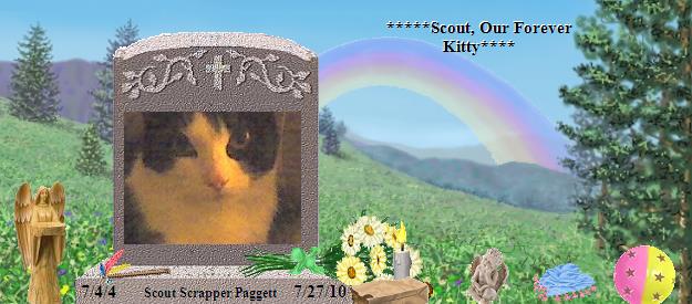 Scout Scrapper Paggett's Rainbow Bridge Pet Loss Memorial Residency Image