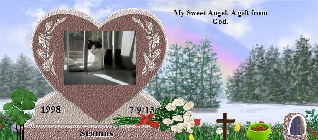 Seamus's Rainbow Bridge Pet Loss Memorial Residency Image