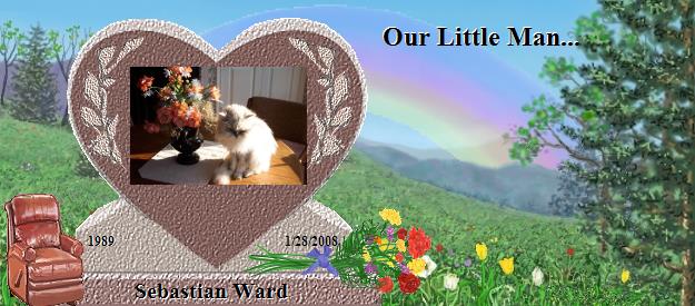 Sebastian Ward's Rainbow Bridge Pet Loss Memorial Residency Image