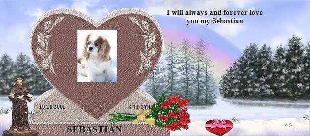 SEBASTIAN's Rainbow Bridge Pet Loss Memorial Residency Image