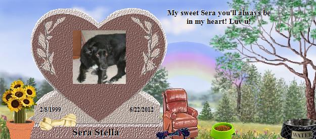 Sera Stella's Rainbow Bridge Pet Loss Memorial Residency Image