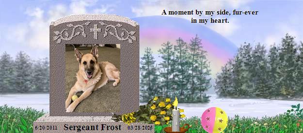 Sergeant Frost's Rainbow Bridge Pet Loss Memorial Residency Image