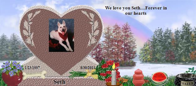 Seth's Rainbow Bridge Pet Loss Memorial Residency Image