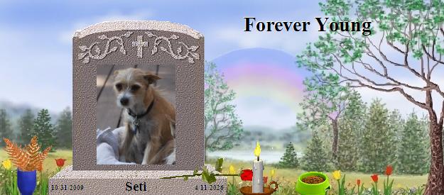 Seti's Rainbow Bridge Pet Loss Memorial Residency Image