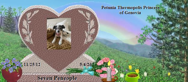 Seven Peneople's Rainbow Bridge Pet Loss Memorial Residency Image