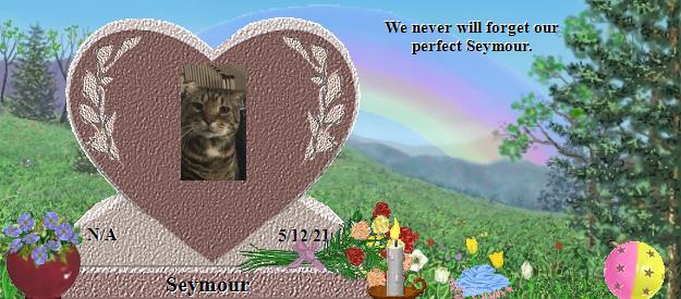 Seymour's Rainbow Bridge Pet Loss Memorial Residency Image