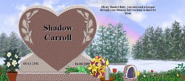 Shadow Carroll's Rainbow Bridge Pet Loss Memorial Residency Image