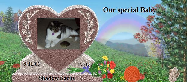 Shadow Sachs's Rainbow Bridge Pet Loss Memorial Residency Image