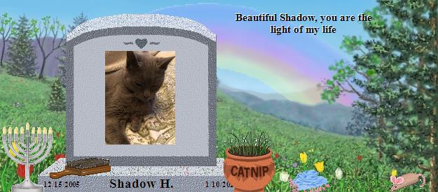 Shadow H.'s Rainbow Bridge Pet Loss Memorial Residency Image
