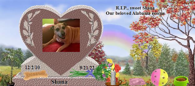 Shana's Rainbow Bridge Pet Loss Memorial Residency Image