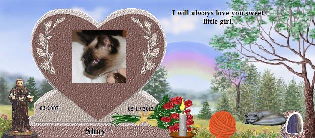 Shay's Rainbow Bridge Pet Loss Memorial Residency Image