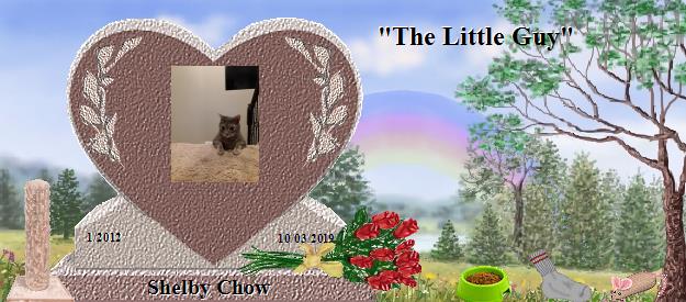 Shelby Chow's Rainbow Bridge Pet Loss Memorial Residency Image