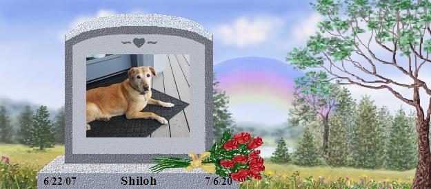 Shiloh's Rainbow Bridge Pet Loss Memorial Residency Image