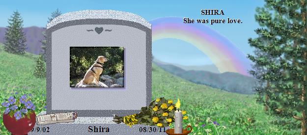 Shira's Rainbow Bridge Pet Loss Memorial Residency Image