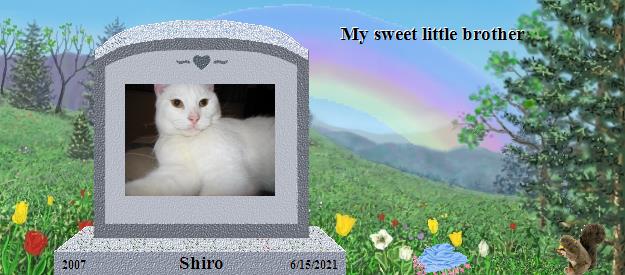 Shiro's Rainbow Bridge Pet Loss Memorial Residency Image