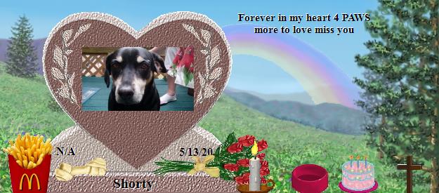 Shorty's Rainbow Bridge Pet Loss Memorial Residency Image
