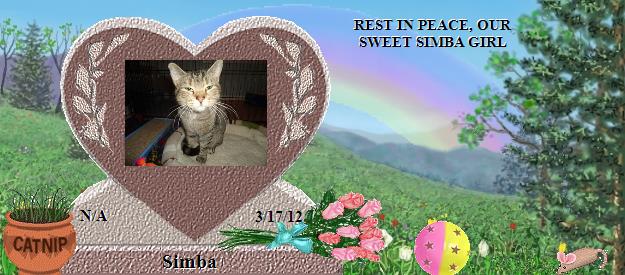 Simba's Rainbow Bridge Pet Loss Memorial Residency Image