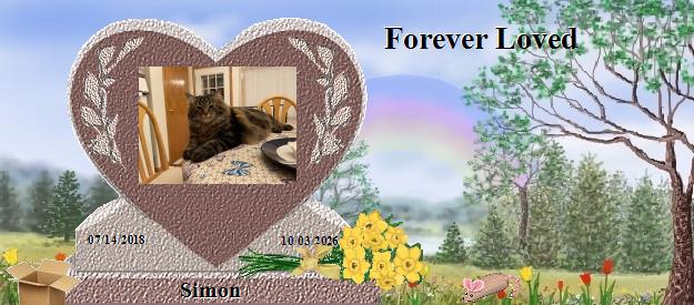 Simon's Rainbow Bridge Pet Loss Memorial Residency Image