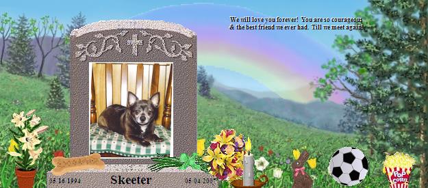 Skeeter's Rainbow Bridge Pet Loss Memorial Residency Image