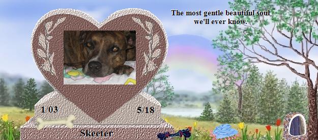 Skeeter's Rainbow Bridge Pet Loss Memorial Residency Image
