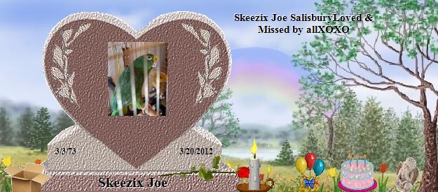 Skeezix Joe's Rainbow Bridge Pet Loss Memorial Residency Image