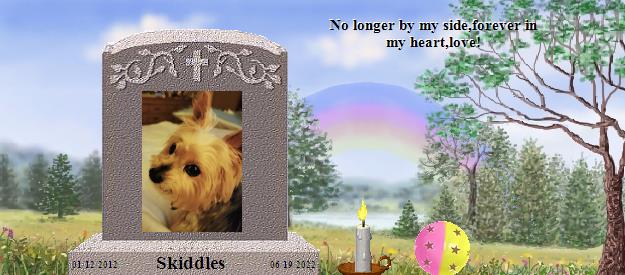 Skiddles's Rainbow Bridge Pet Loss Memorial Residency Image