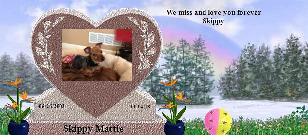 Skippy Mattie's Rainbow Bridge Pet Loss Memorial Residency Image