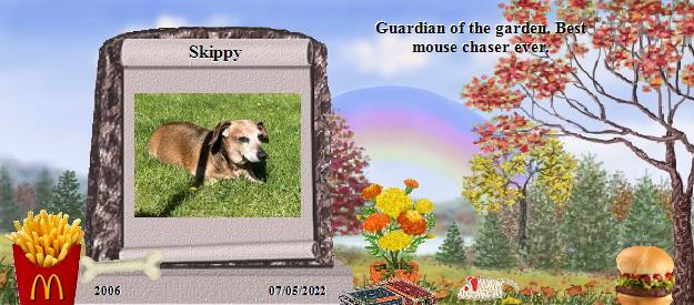 Skippy's Rainbow Bridge Pet Loss Memorial Residency Image
