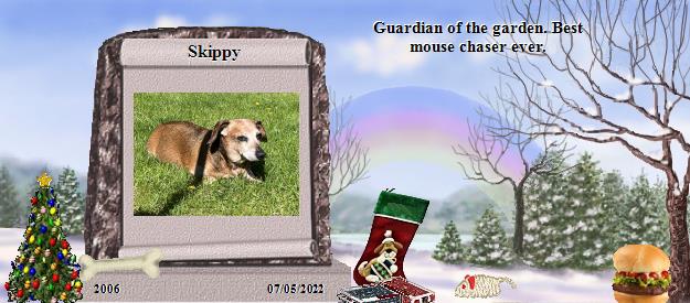Skippy's Rainbow Bridge Pet Loss Memorial Residency Image