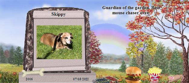 Skippy's Rainbow Bridge Pet Loss Memorial Residency Image